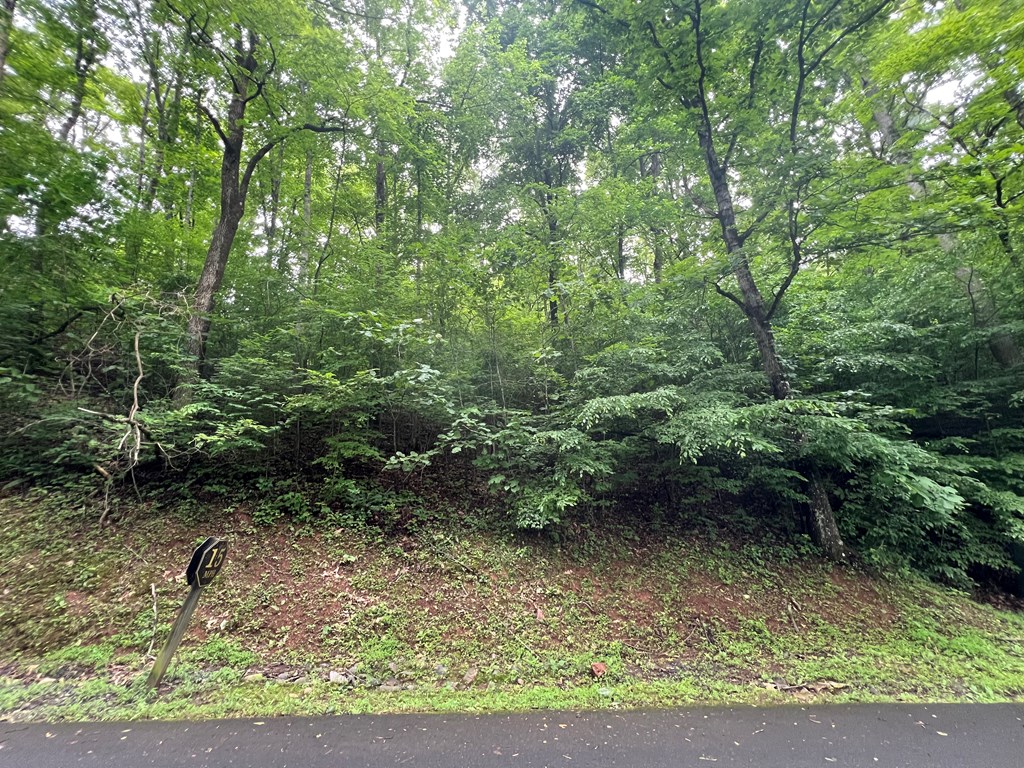 0 Ash Branch Circle Property Photo 5