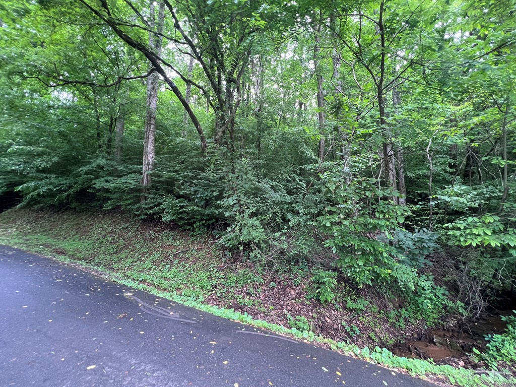 0 Ash Branch Circle Property Photo 7