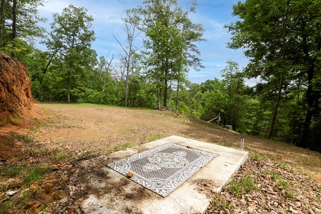 62 Green Cove Spur Property Photo 1