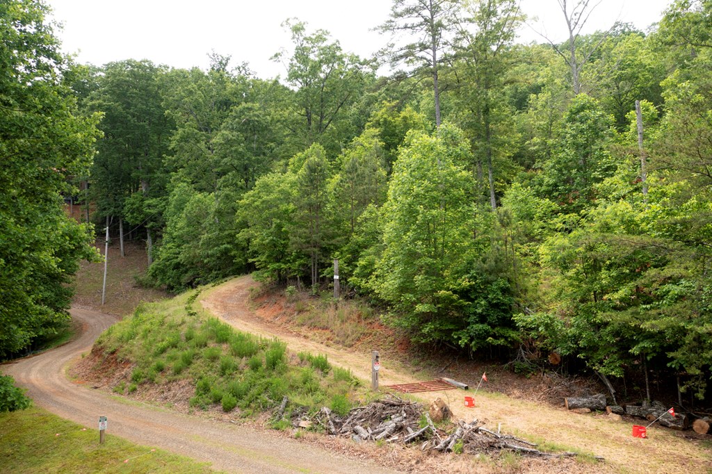 62 Green Cove Spur Property Photo 3