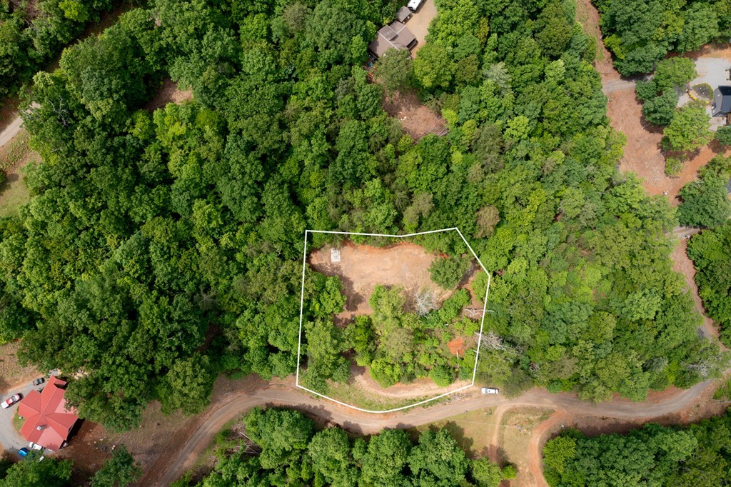 62 Green Cove Spur Property Photo 6