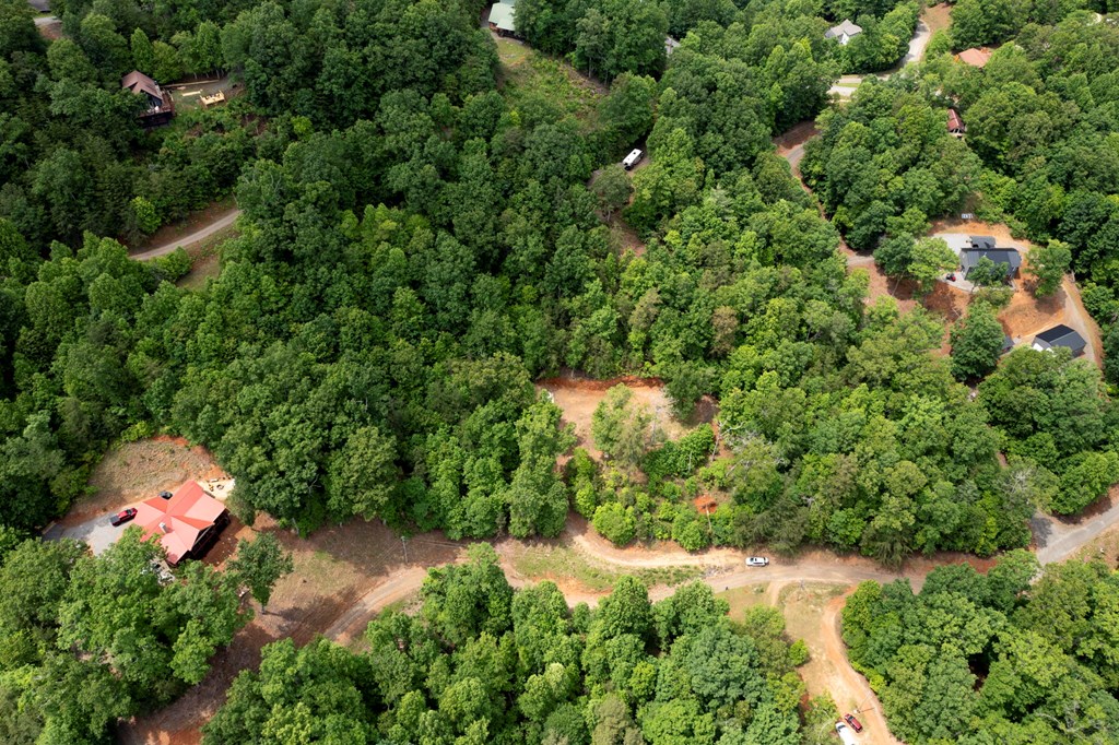 62 Green Cove Spur Property Photo 8