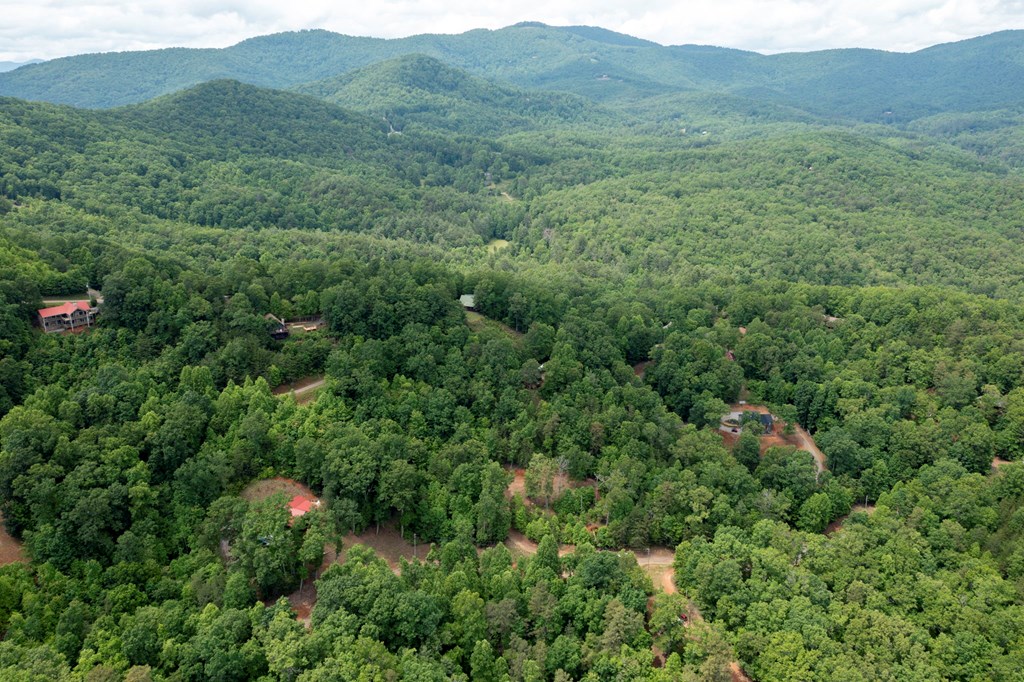 62 Green Cove Spur Property Photo 9