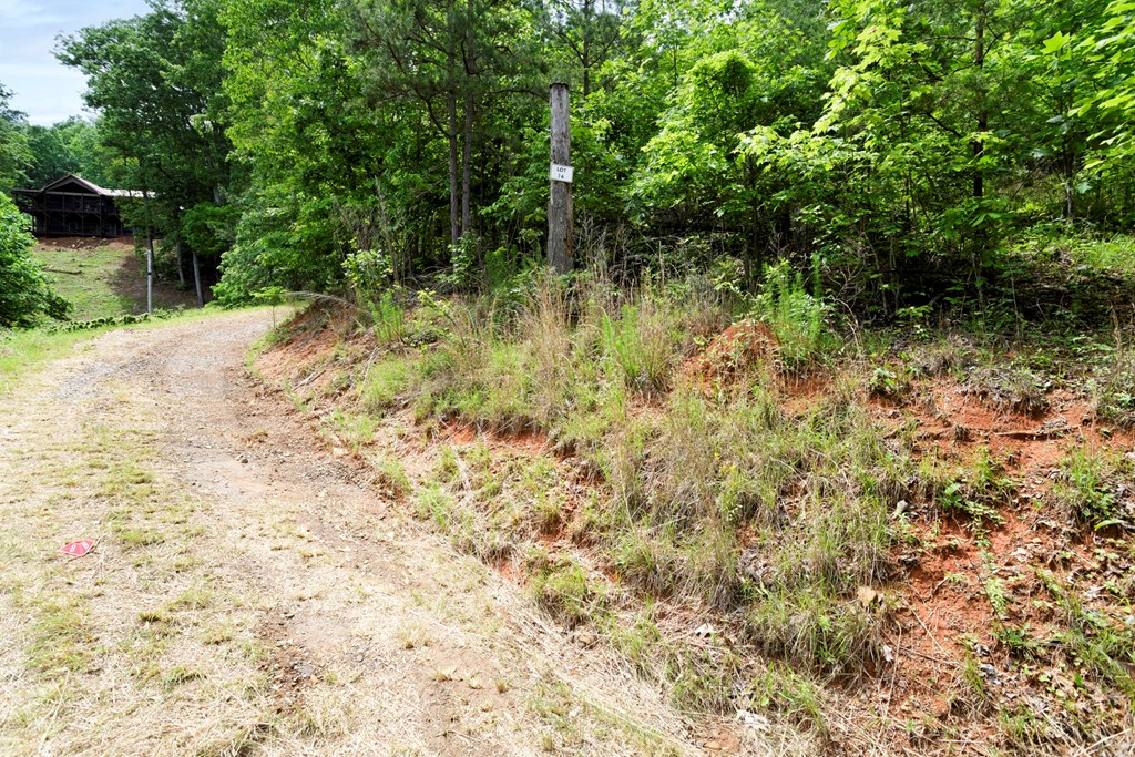 62 Green Cove Spur Property Photo 10