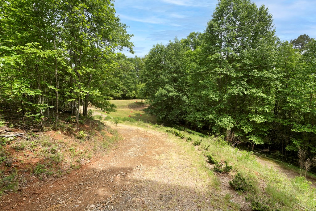 62 Green Cove Spur Property Photo 11