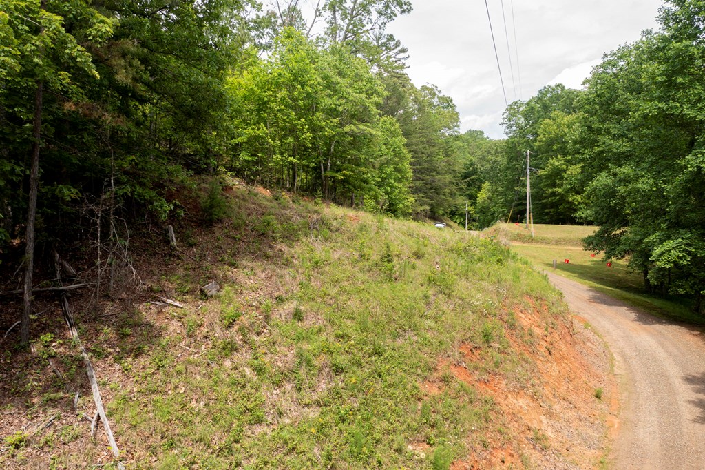 62 Green Cove Spur Property Photo 12