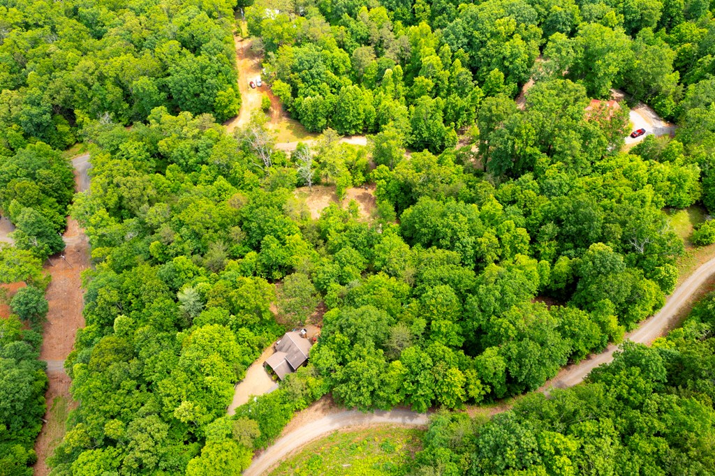 62 Green Cove Spur Property Photo 14