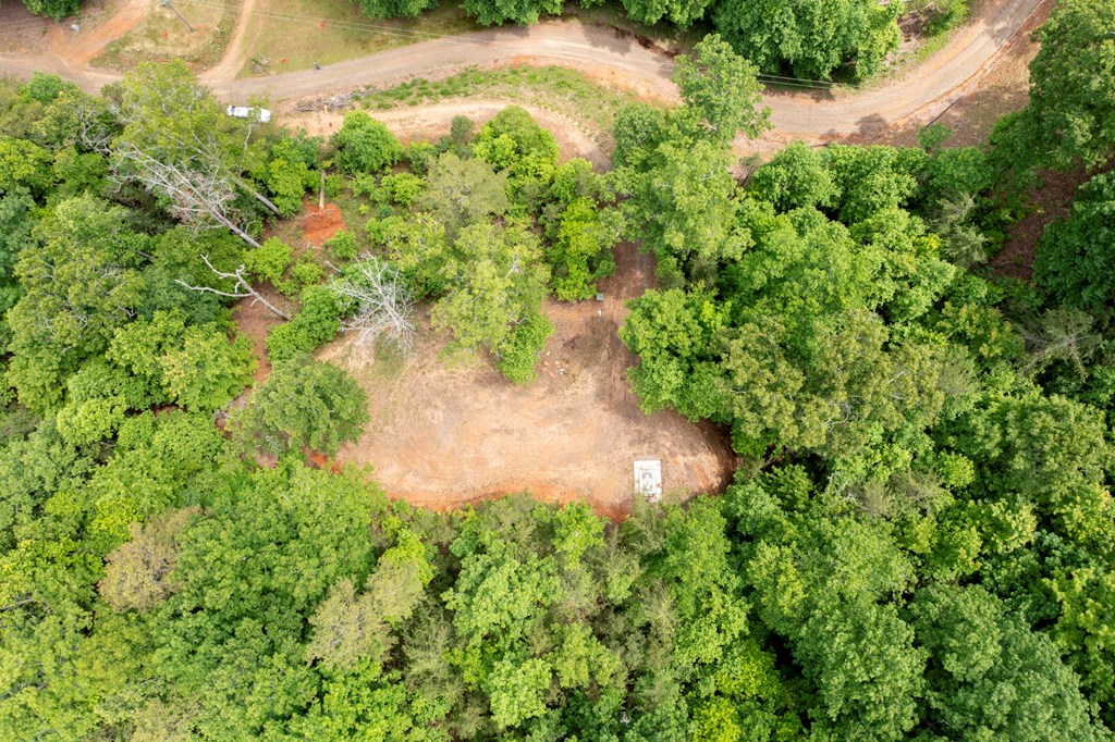 62 Green Cove Spur Property Photo 17