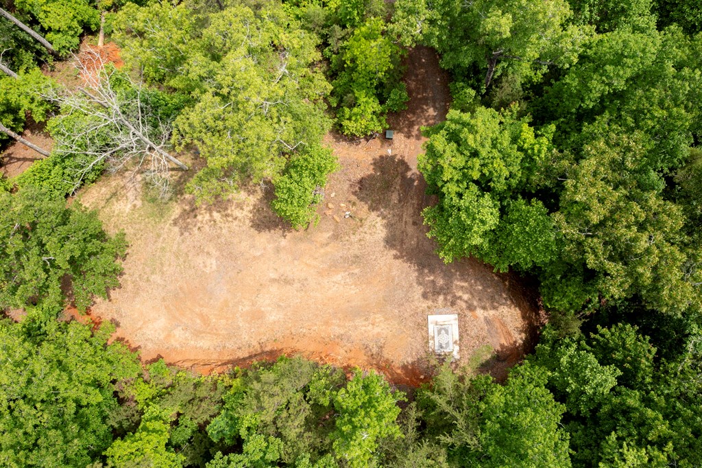 62 Green Cove Spur Property Photo 18