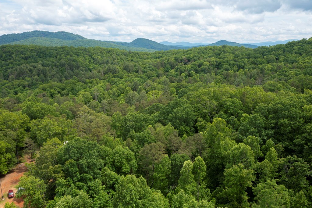 62 Green Cove Spur Property Photo 19