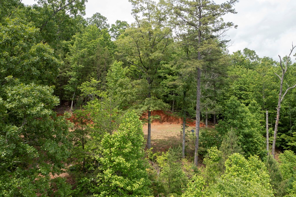 62 Green Cove Spur Property Photo 23