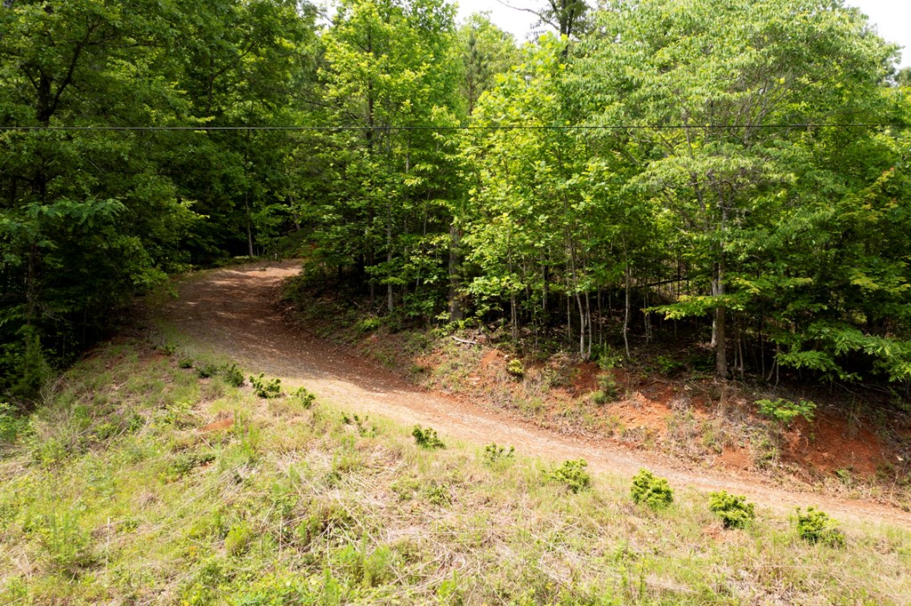 62 Green Cove Spur Property Photo 24