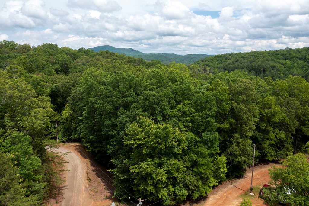 62 Green Cove Spur Property Photo 26