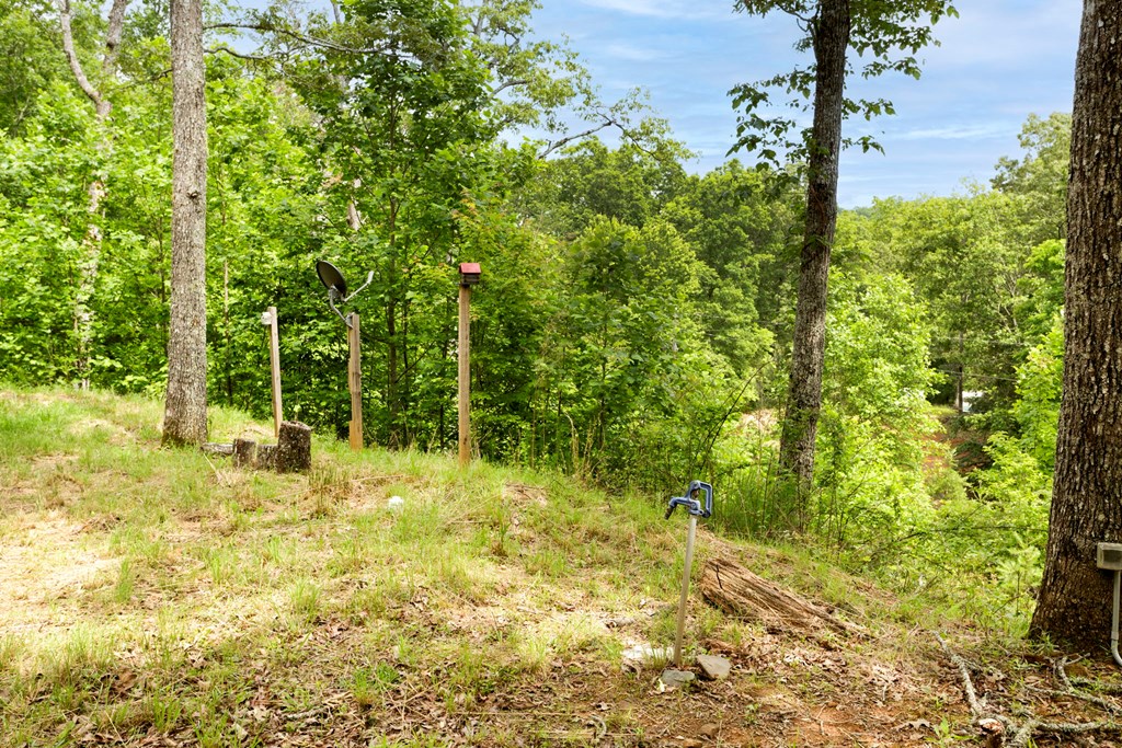 62 Green Cove Spur Property Photo 29