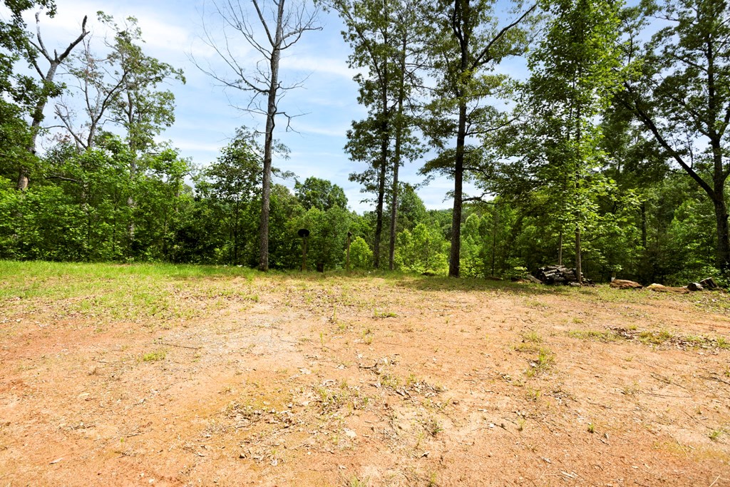 62 Green Cove Spur Property Photo 31