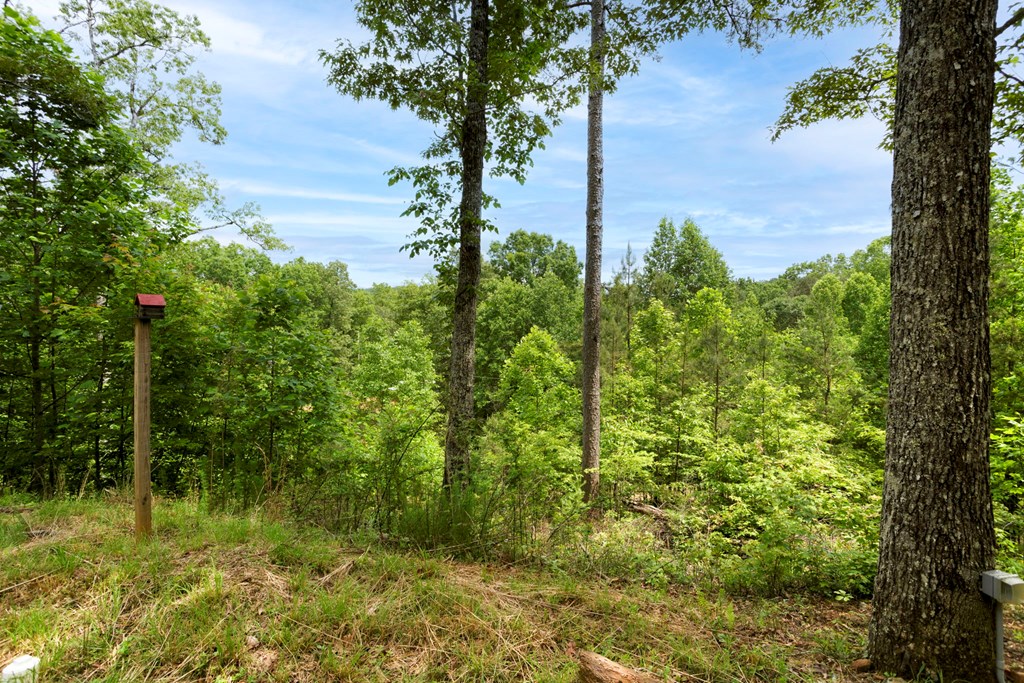 62 Green Cove Spur Property Photo 32