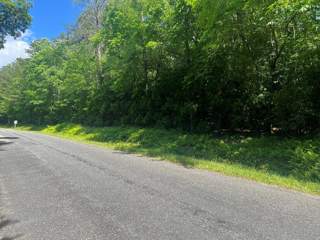 000 Tobe Stalcup Road Property Photo 1