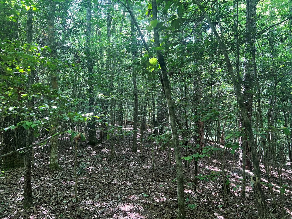 000 Tobe Stalcup Road Property Photo 3
