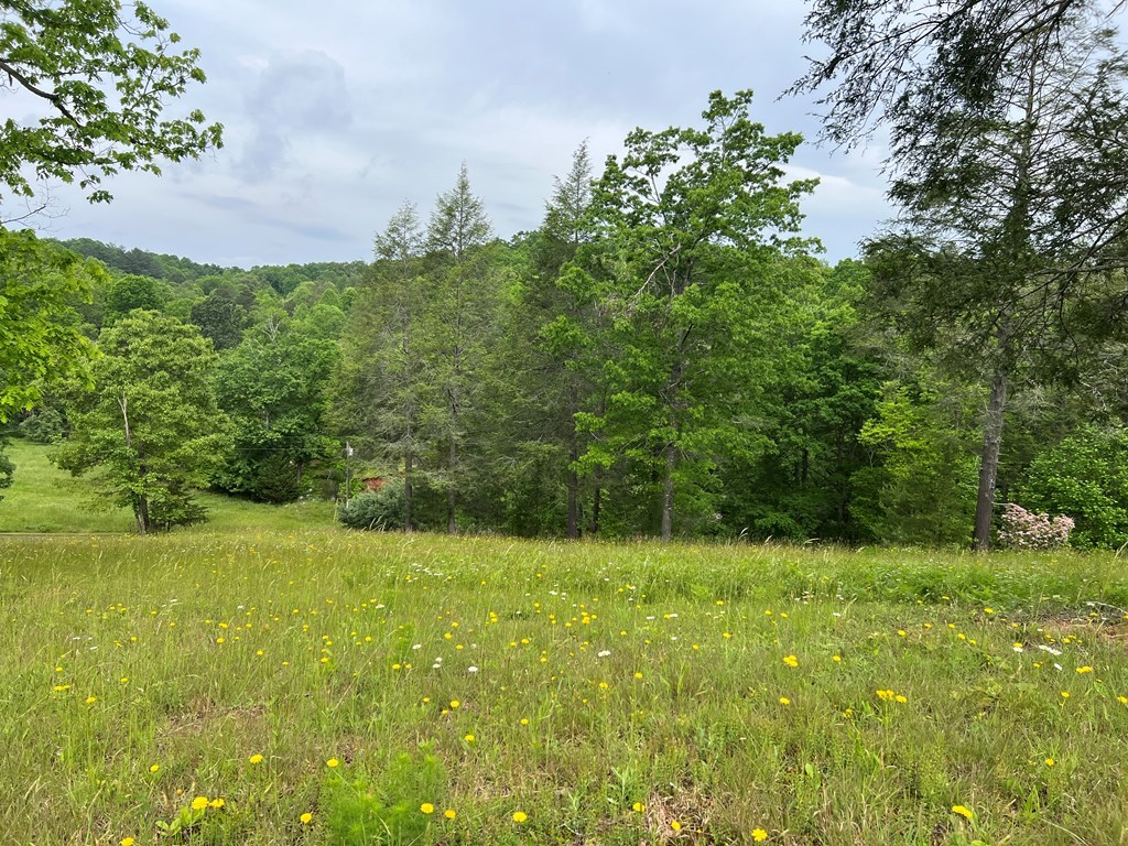 Lot 52 Madeline Way Property Photo 4