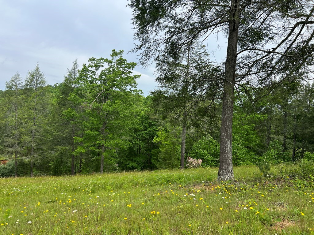 Lot 52 Madeline Way Property Photo 7