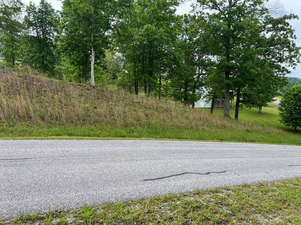 Lot 52 Madeline Way Property Photo 11