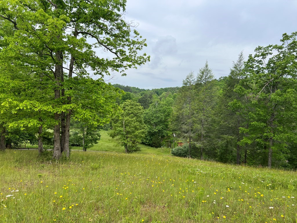 Lot 52 Madeline Way Property Photo 12