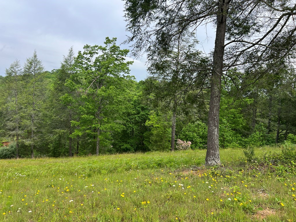 Lot 52 Madeline Way Property Photo 13