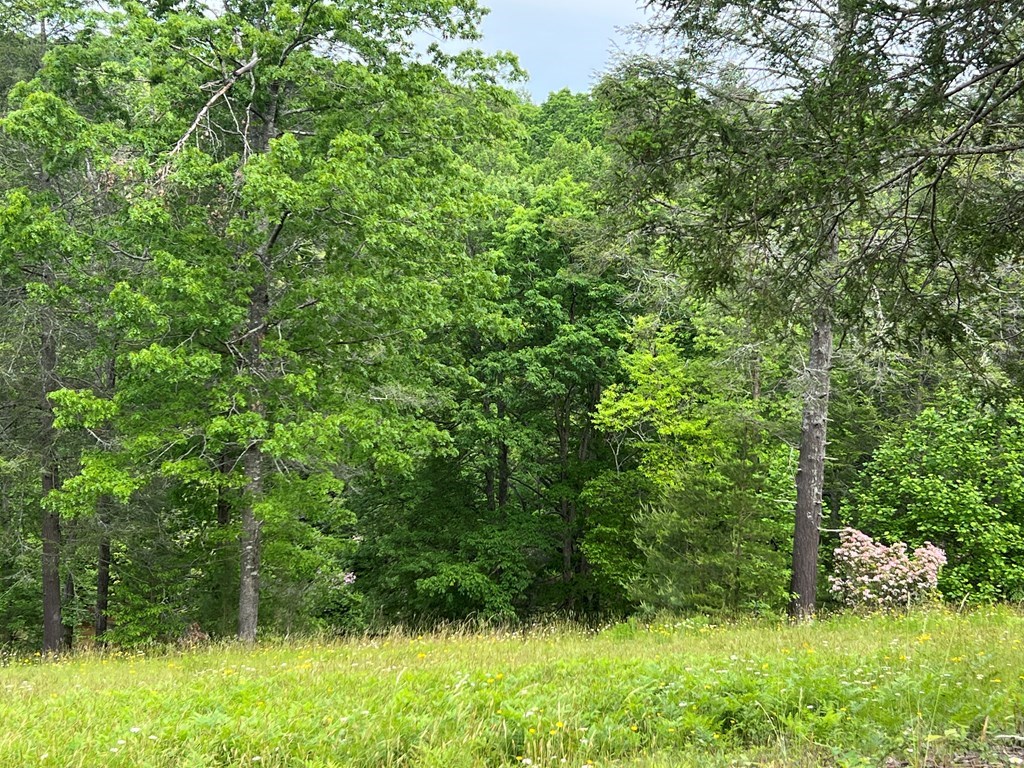 Lot 52 Madeline Way Property Photo 16