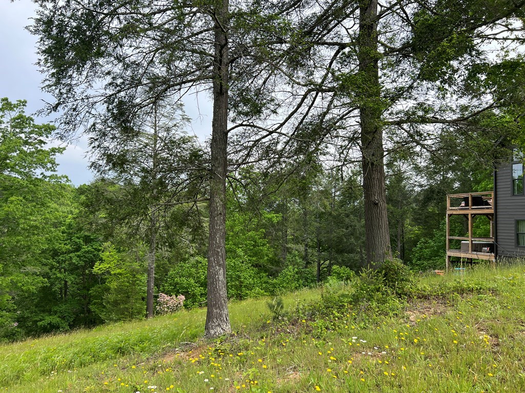 Lot 52 Madeline Way Property Photo 22