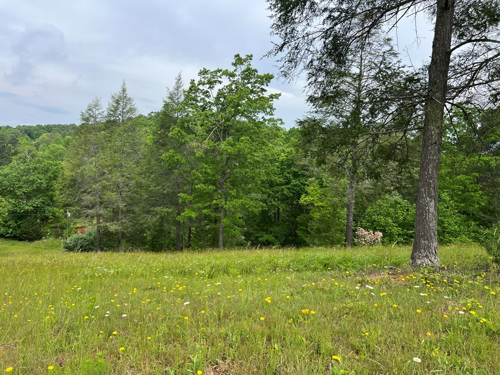 Lot 52 Madeline Way Property Photo 24