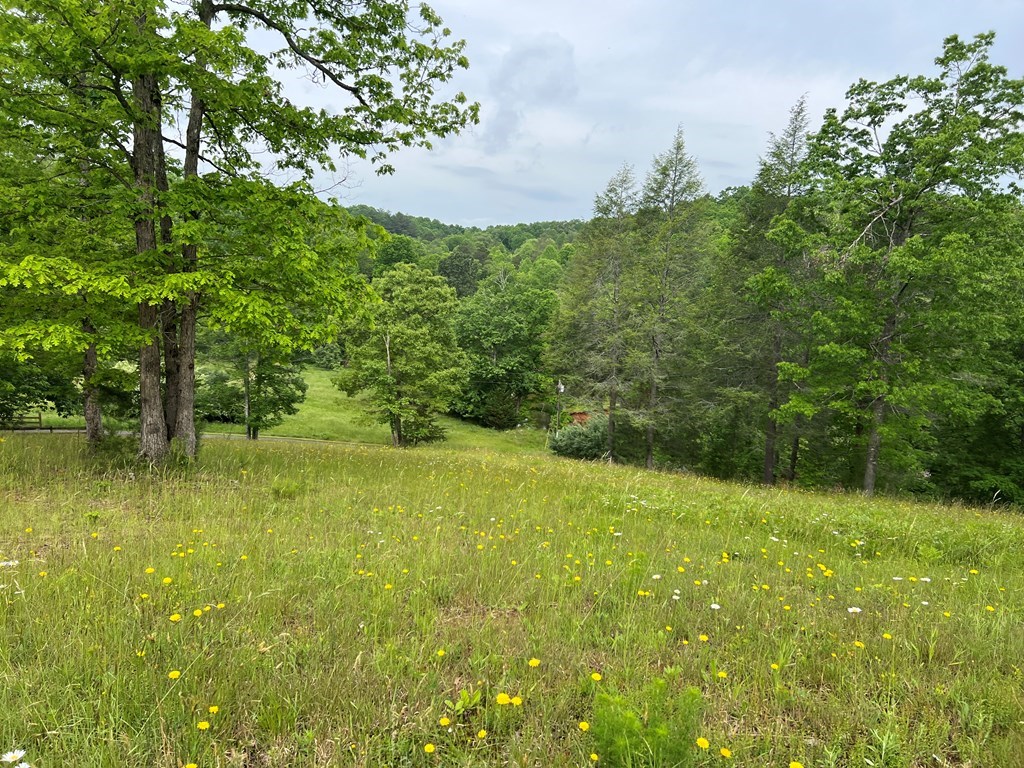 Lot 52 Madeline Way Property Photo 25