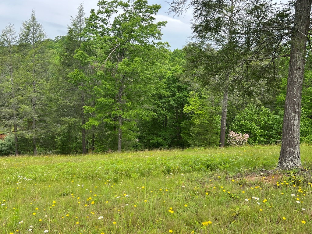 Lot 52 Madeline Way Property Photo 26