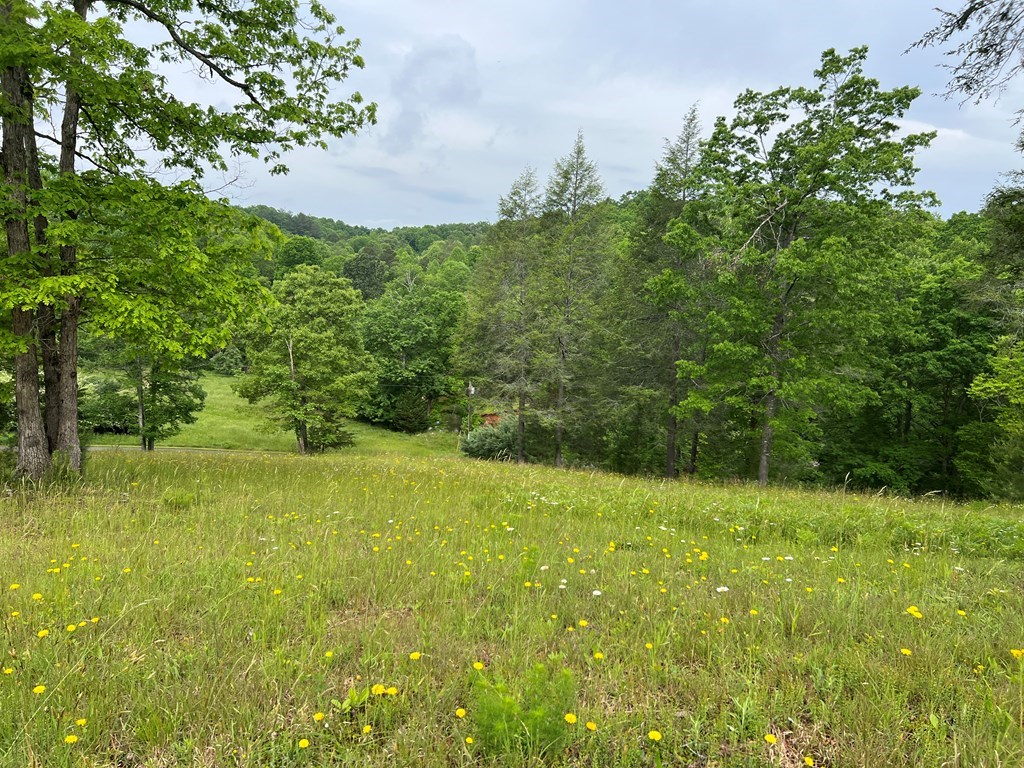 Lot 52 Madeline Way Property Photo 29