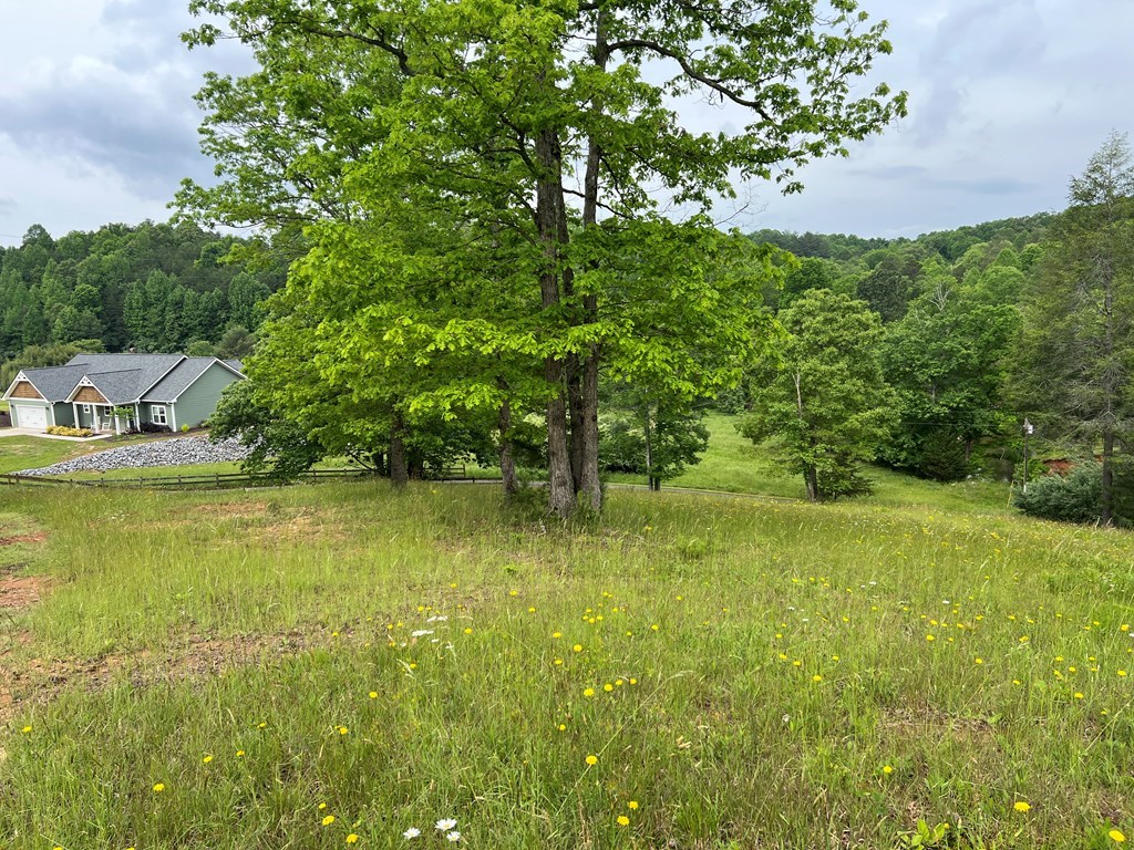 Lot 52 Madeline Way Property Photo 30