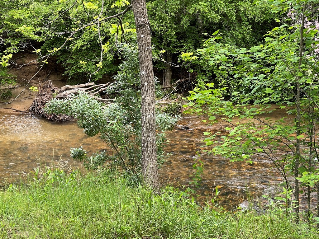 Lot 52 Madeline Way Property Photo 32