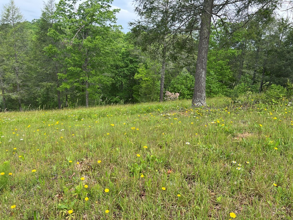 Lot 52 Madeline Way Property Photo 33