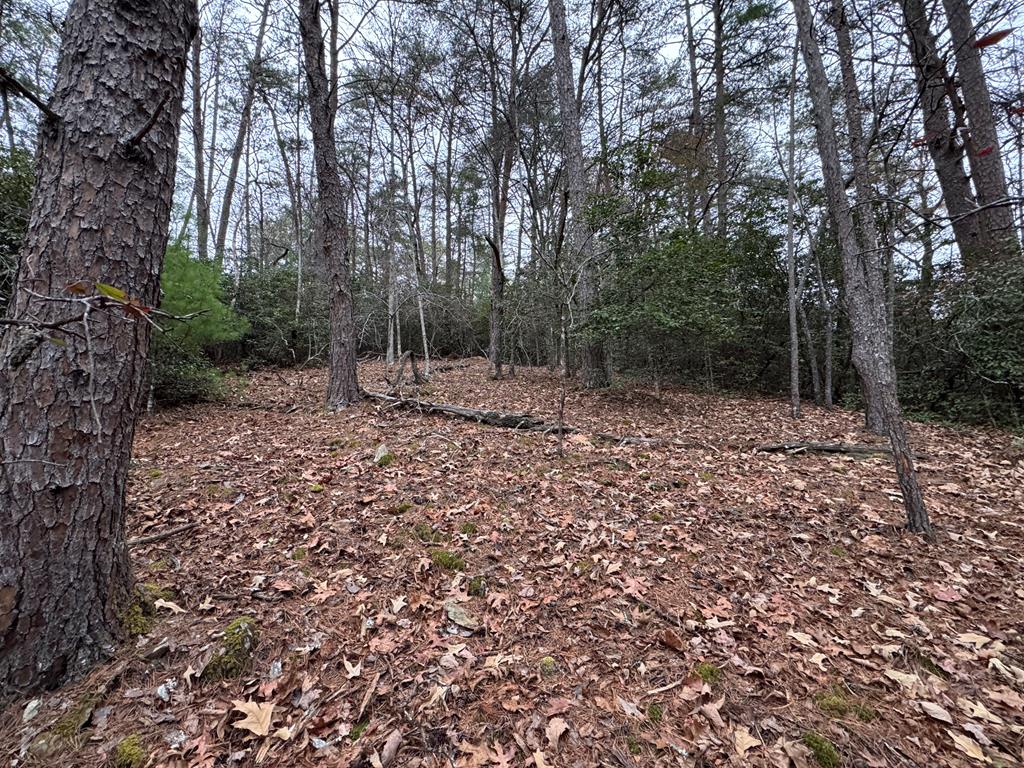 289 Paradise Park Property Photo 1