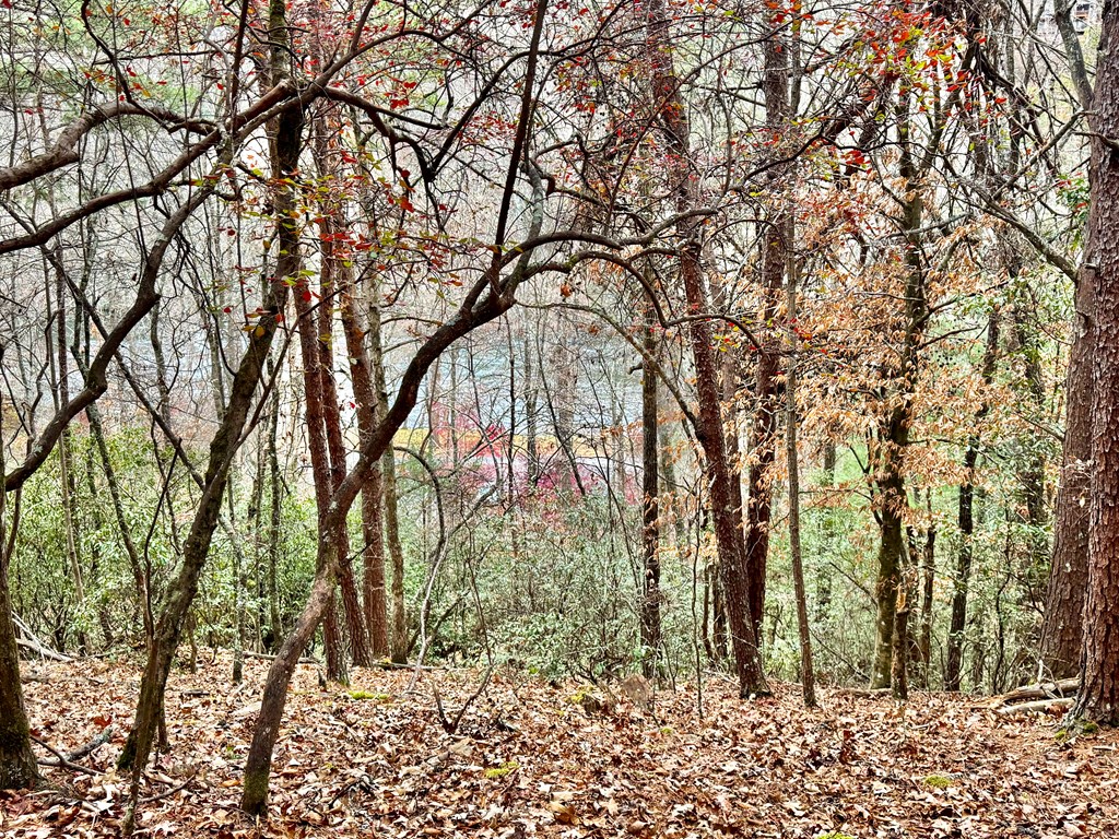 289 Paradise Park Property Photo 2