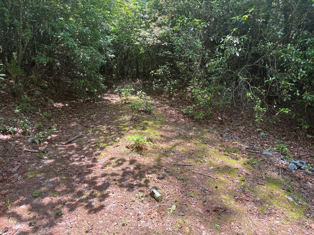 289 Paradise Park Property Photo 3