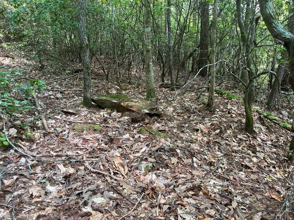289 Paradise Park Property Photo 4