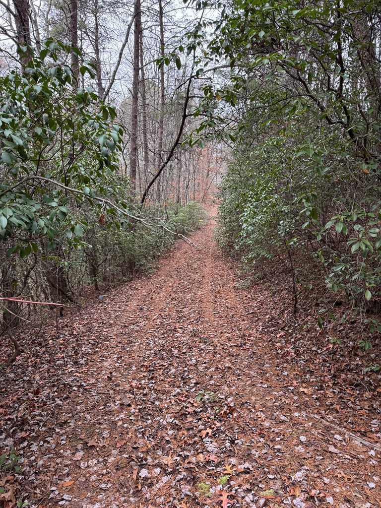 289 Paradise Park Property Photo 8