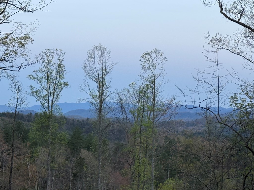 3530 Grape Creek Road Property Photo 15