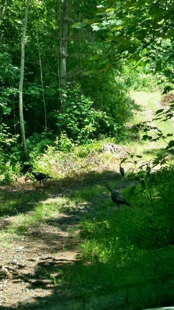 3530 Grape Creek Road Property Photo 33
