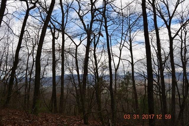 3530 Grape Creek Road Property Photo 34