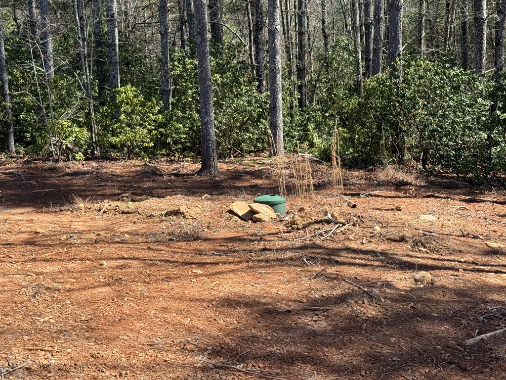 3530 Grape Creek Road Property Photo 38