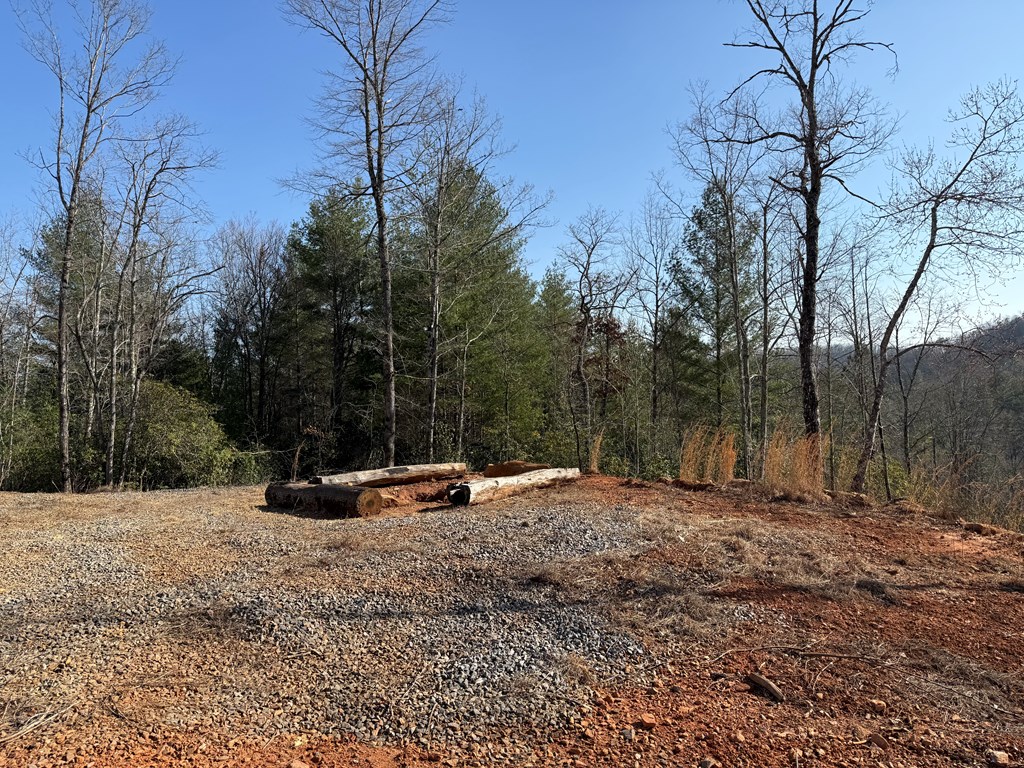 3530 Grape Creek Road Property Photo 39
