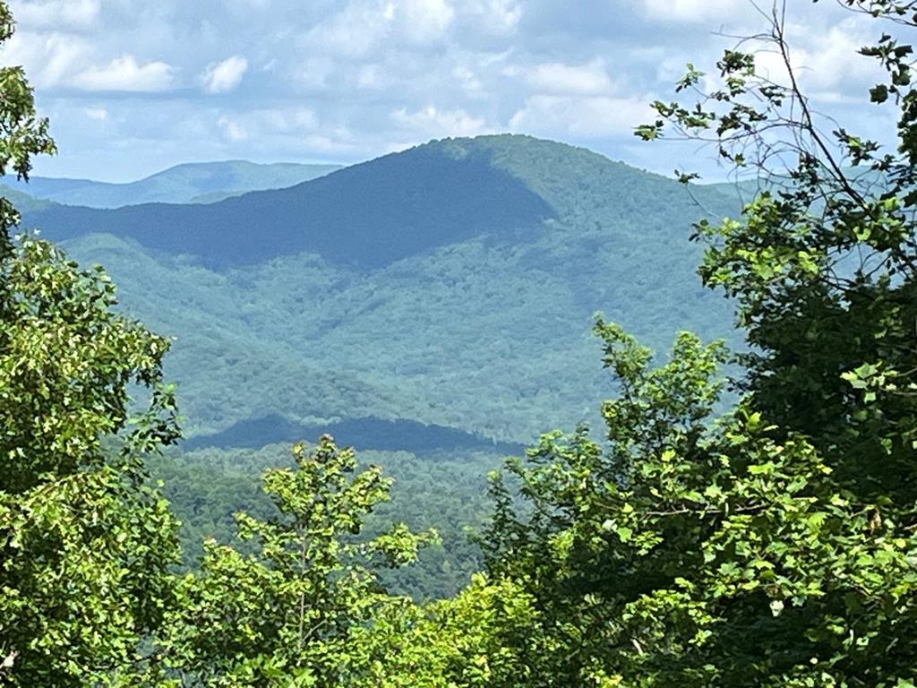 Lot 34 Wolf Knob Summit Property Photo 1
