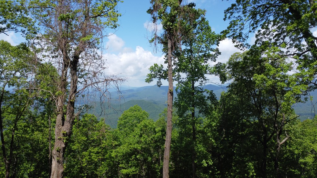 Lot 34 Wolf Knob Summit Property Photo 2