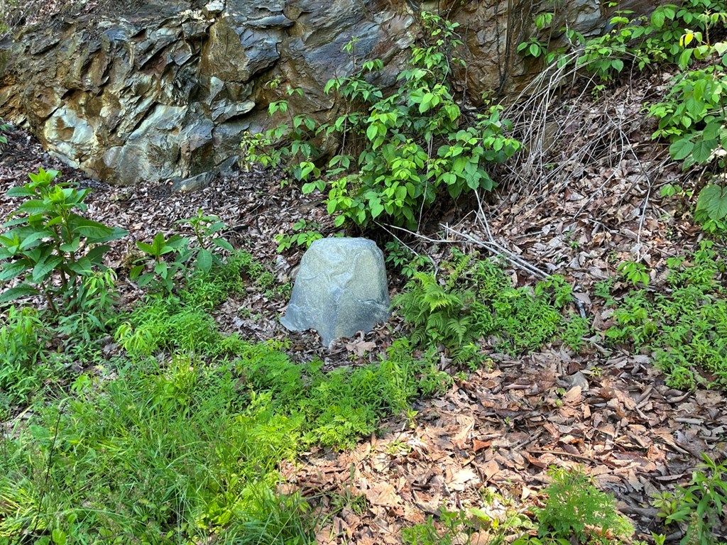Lot 34 Wolf Knob Summit Property Photo 7