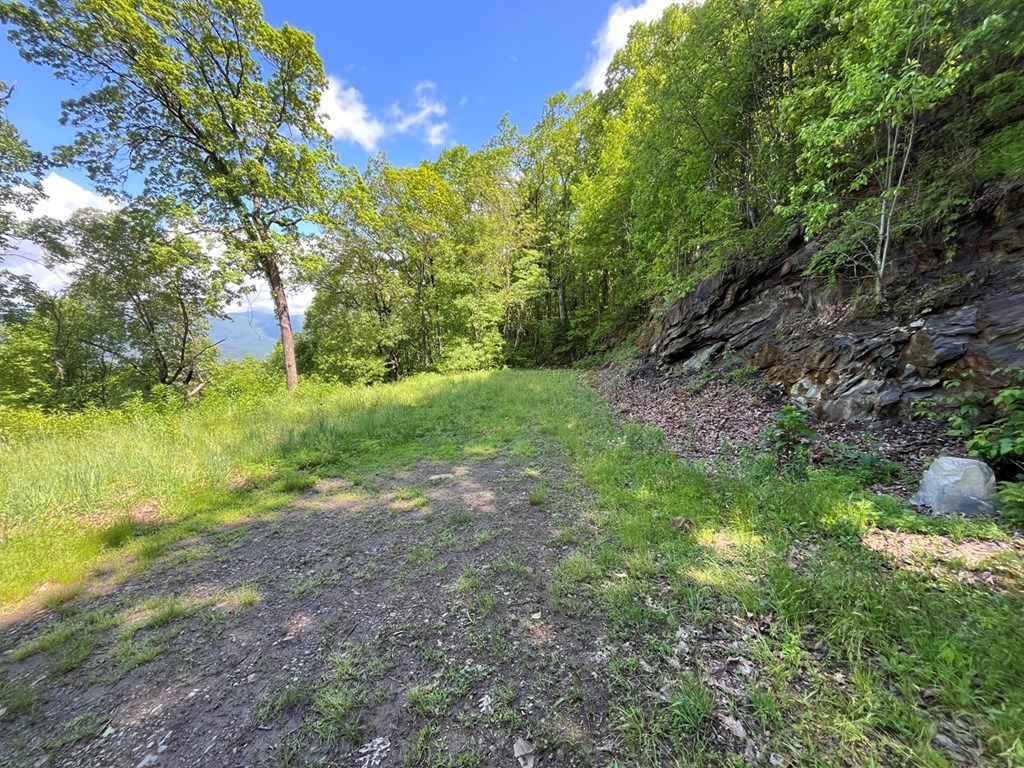 Lot 34 Wolf Knob Summit Property Photo 8